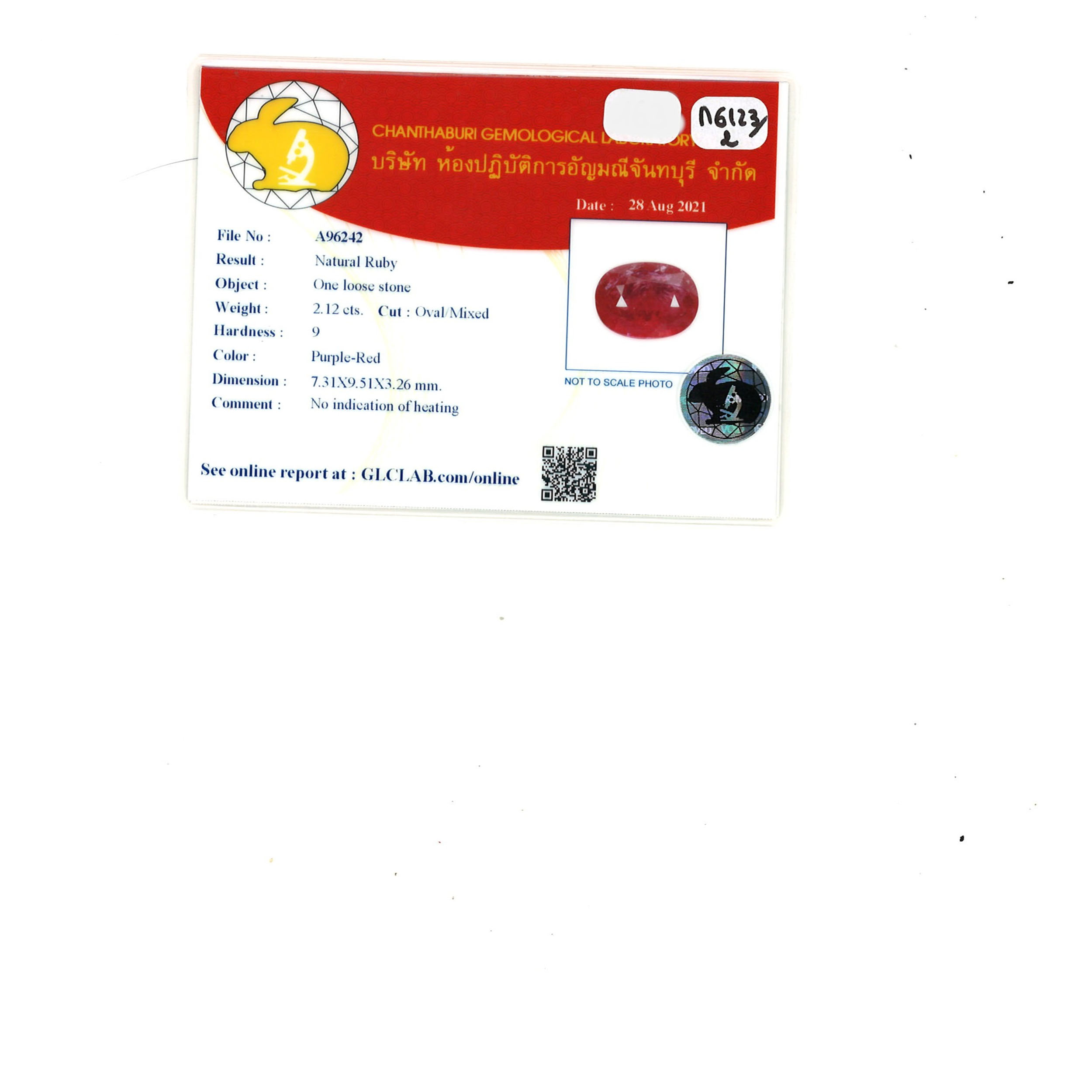 BAGUE – Image 4