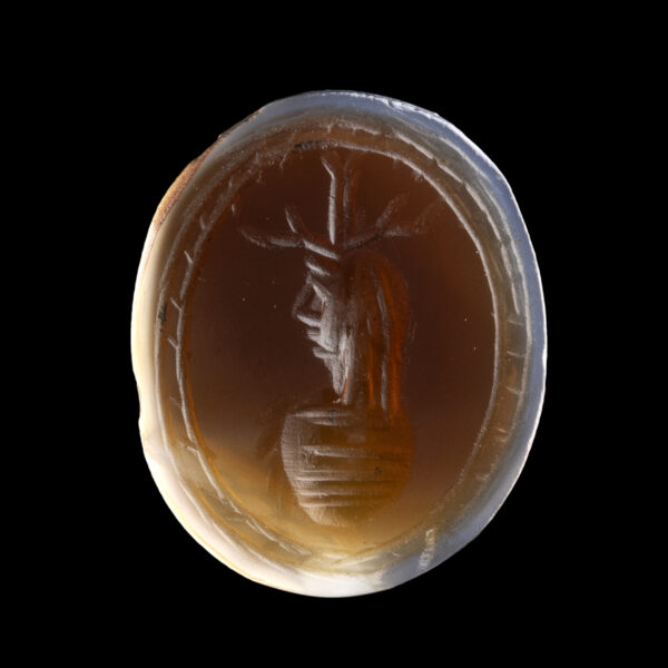 *INTAILLE – Image 2