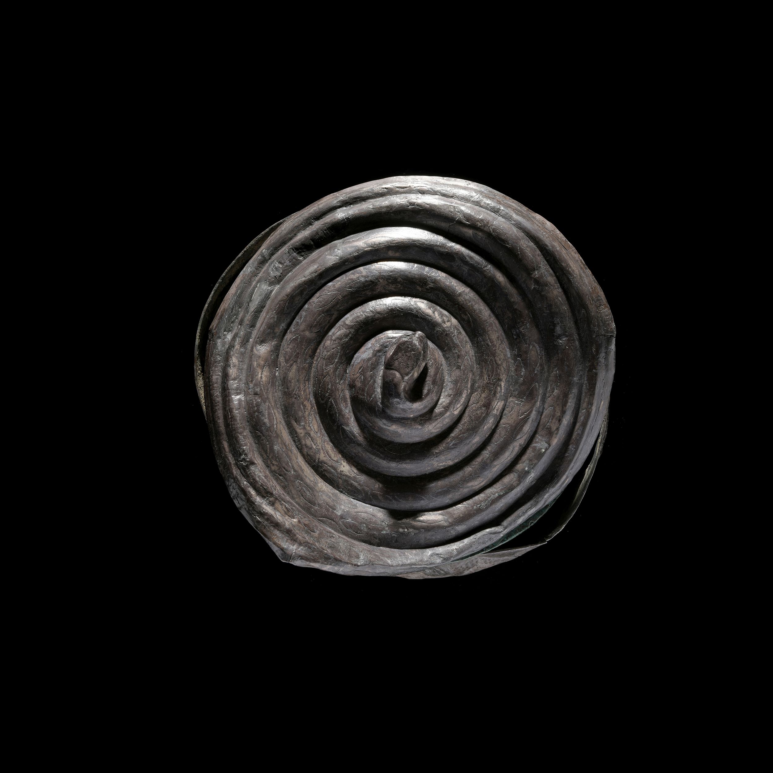 *RARE PYXIS – Image 3
