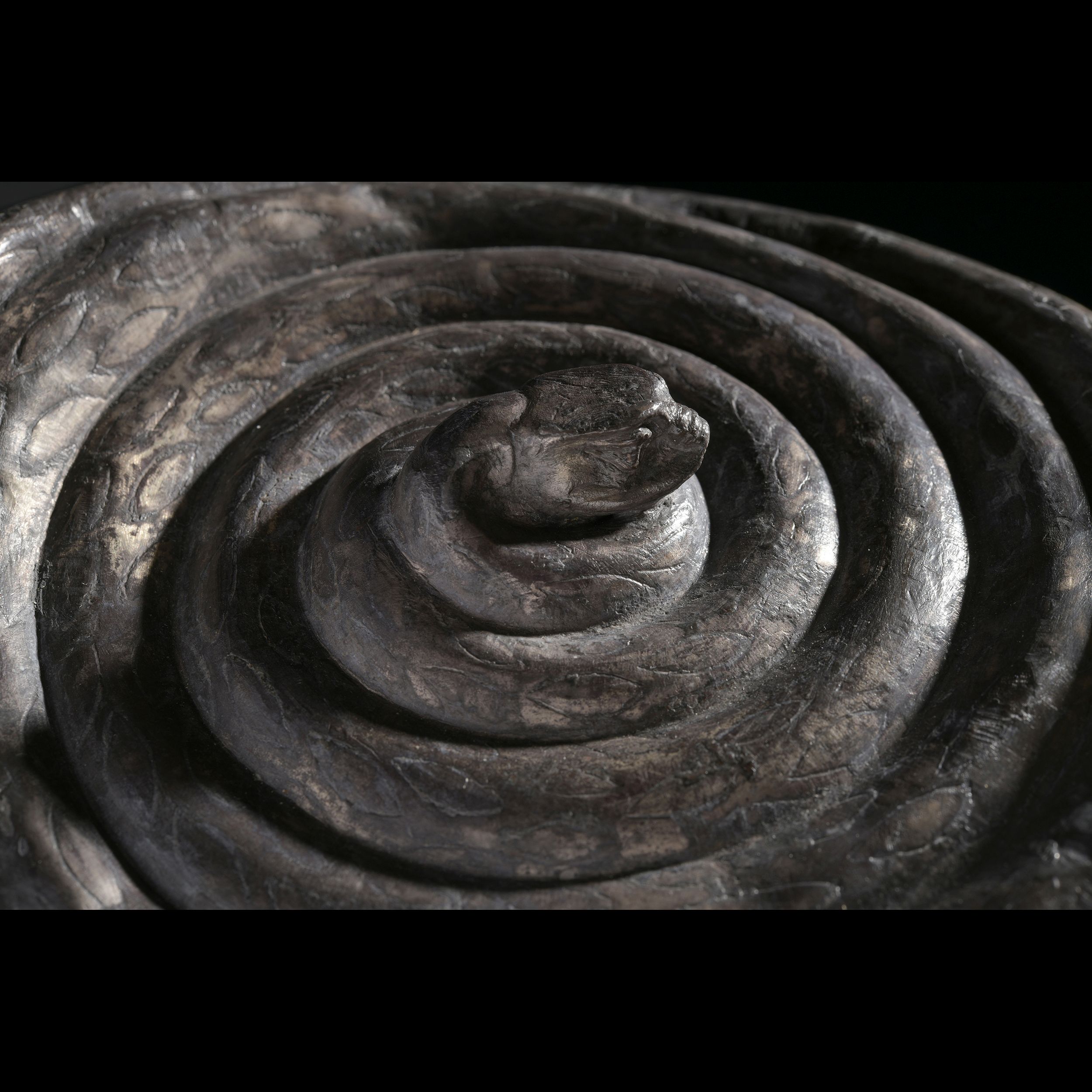 *RARE PYXIS – Image 4