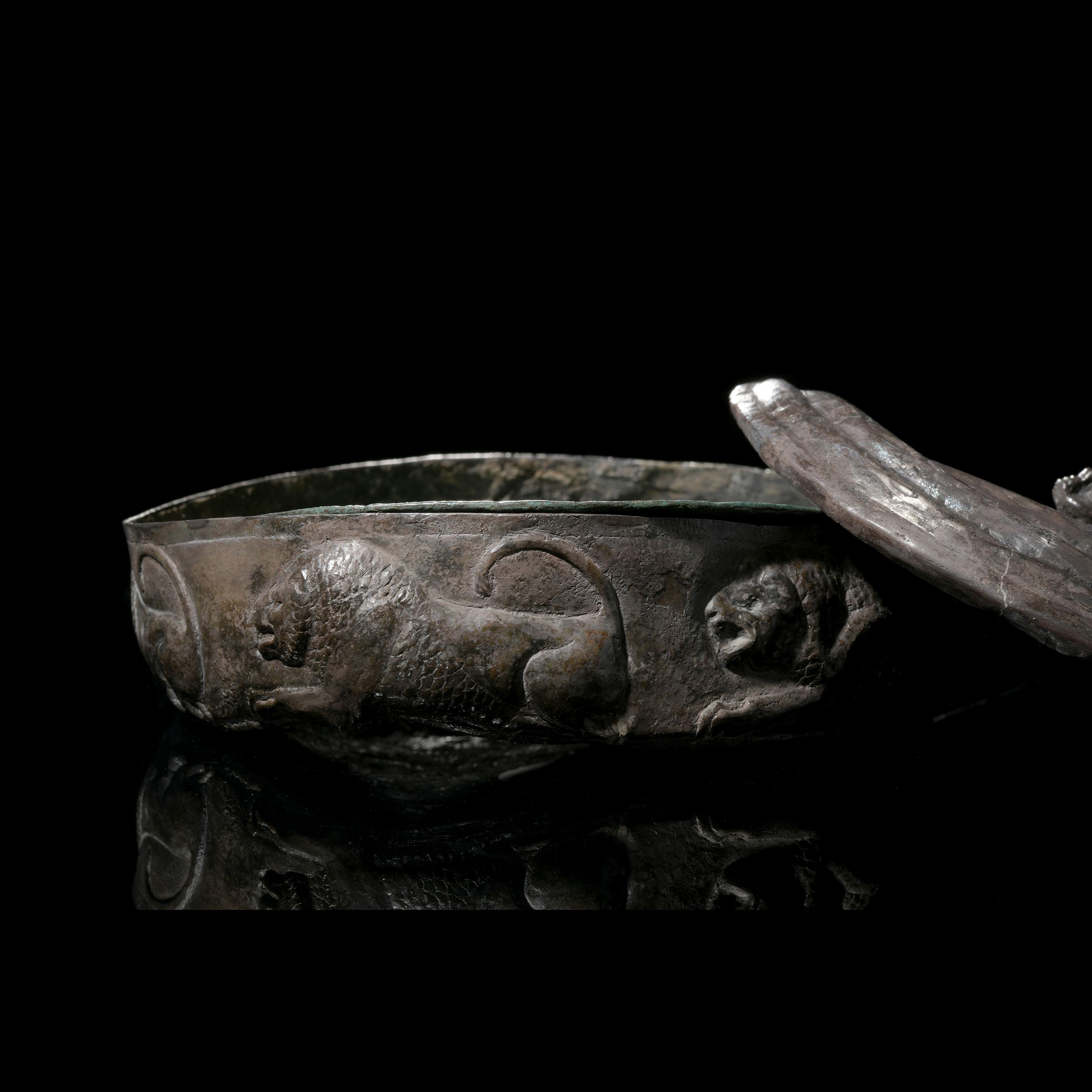 *RARE PYXIS – Image 6