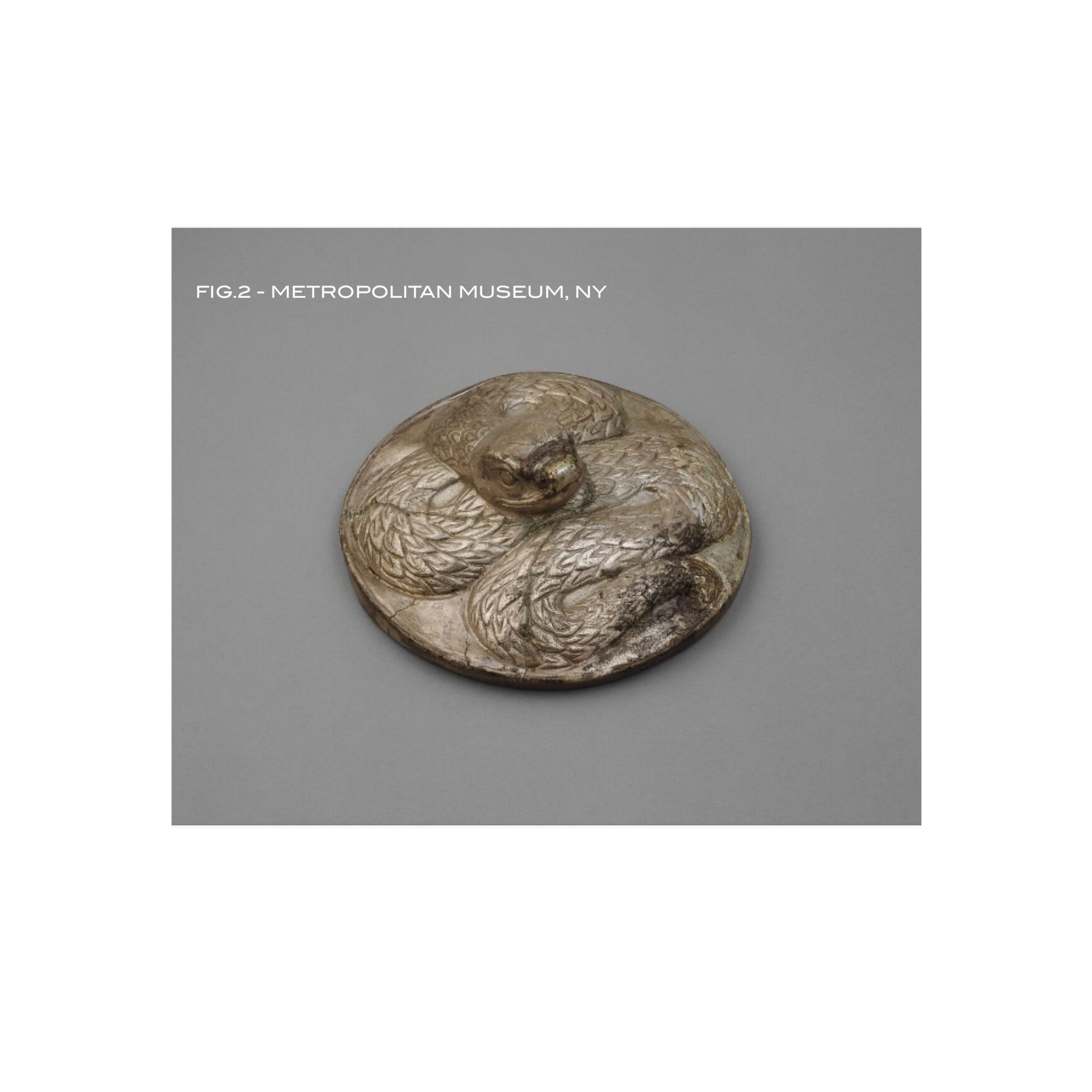 *RARE PYXIS – Image 9