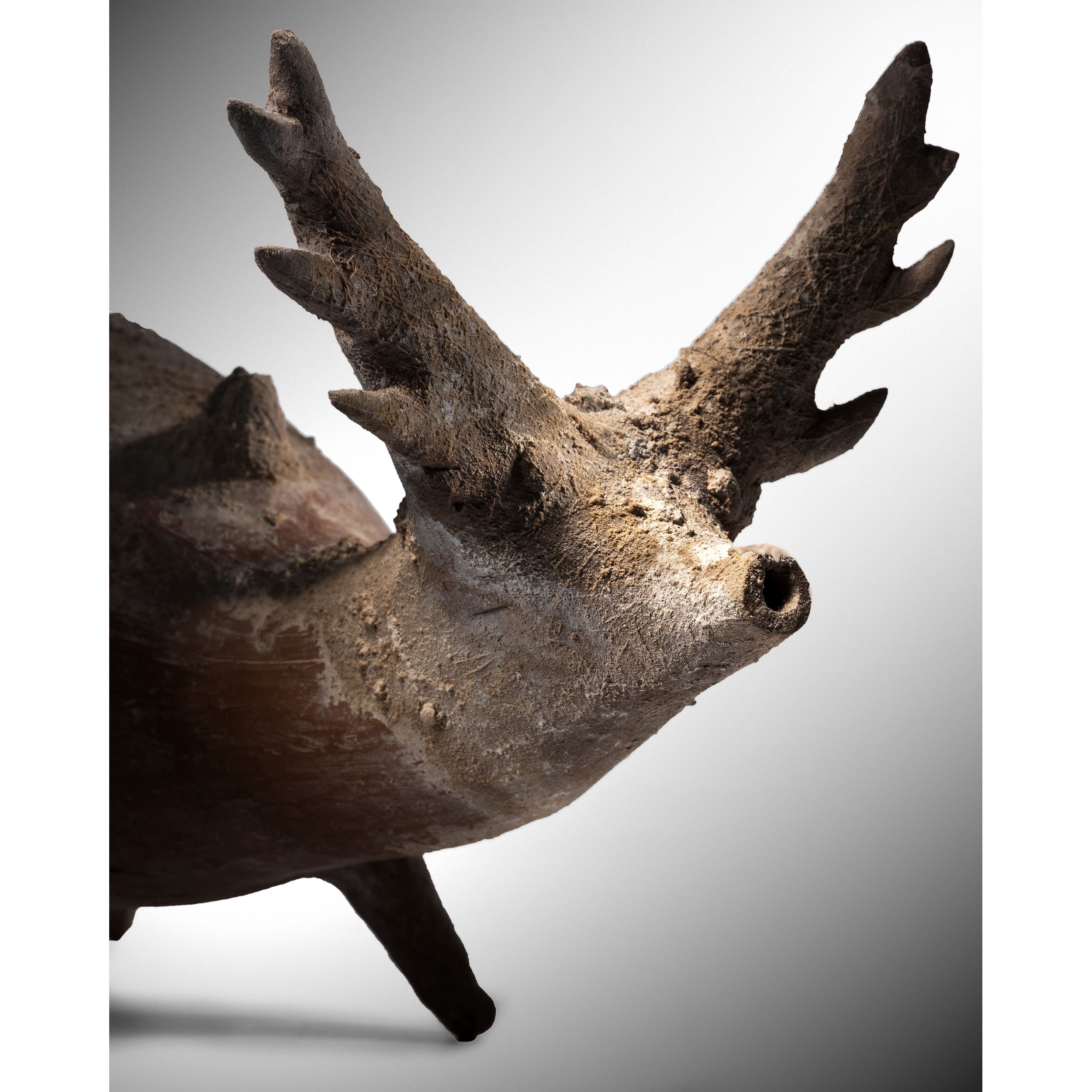 RHYTON ZOOMORPHE – Image 2
