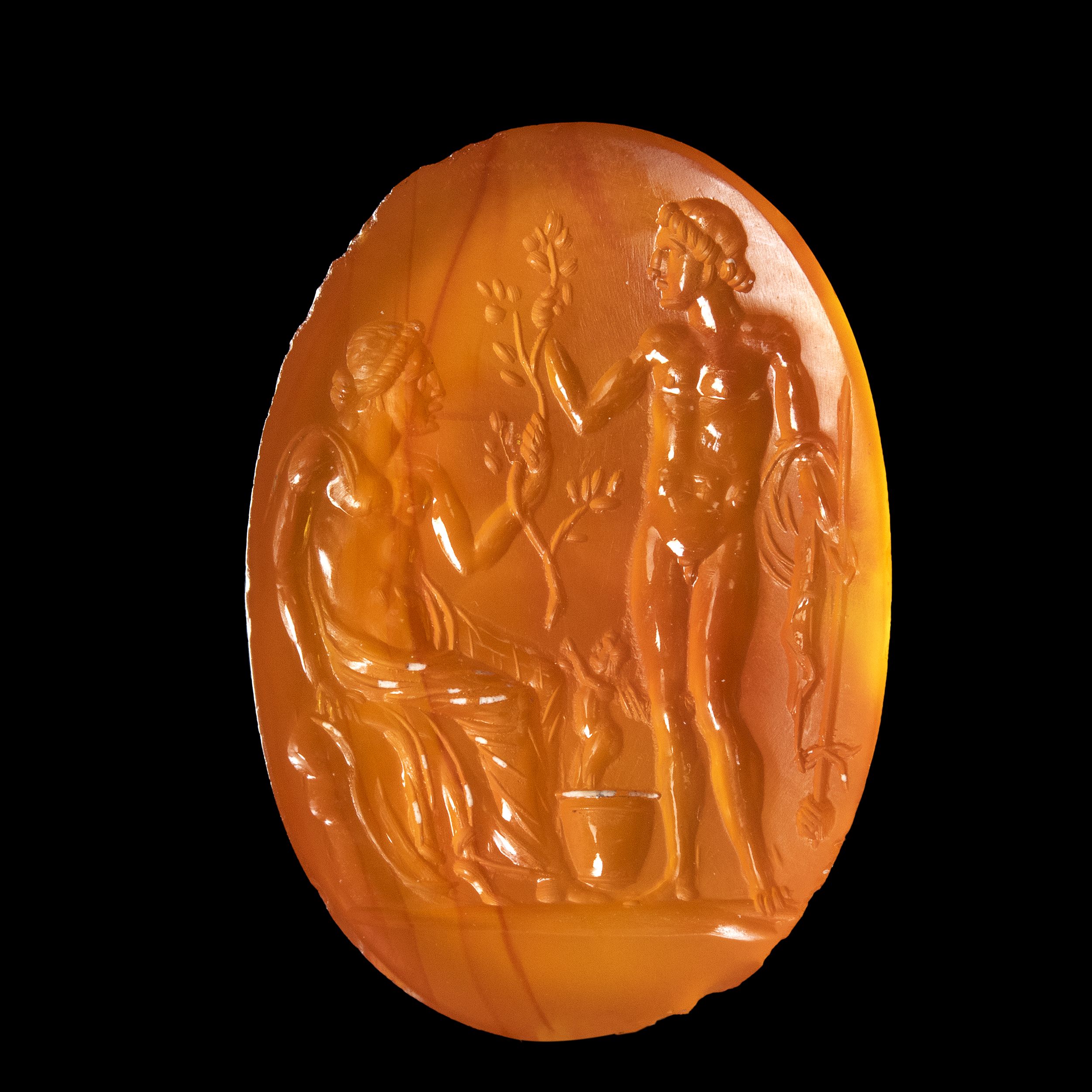 INTAILLE – Image 2