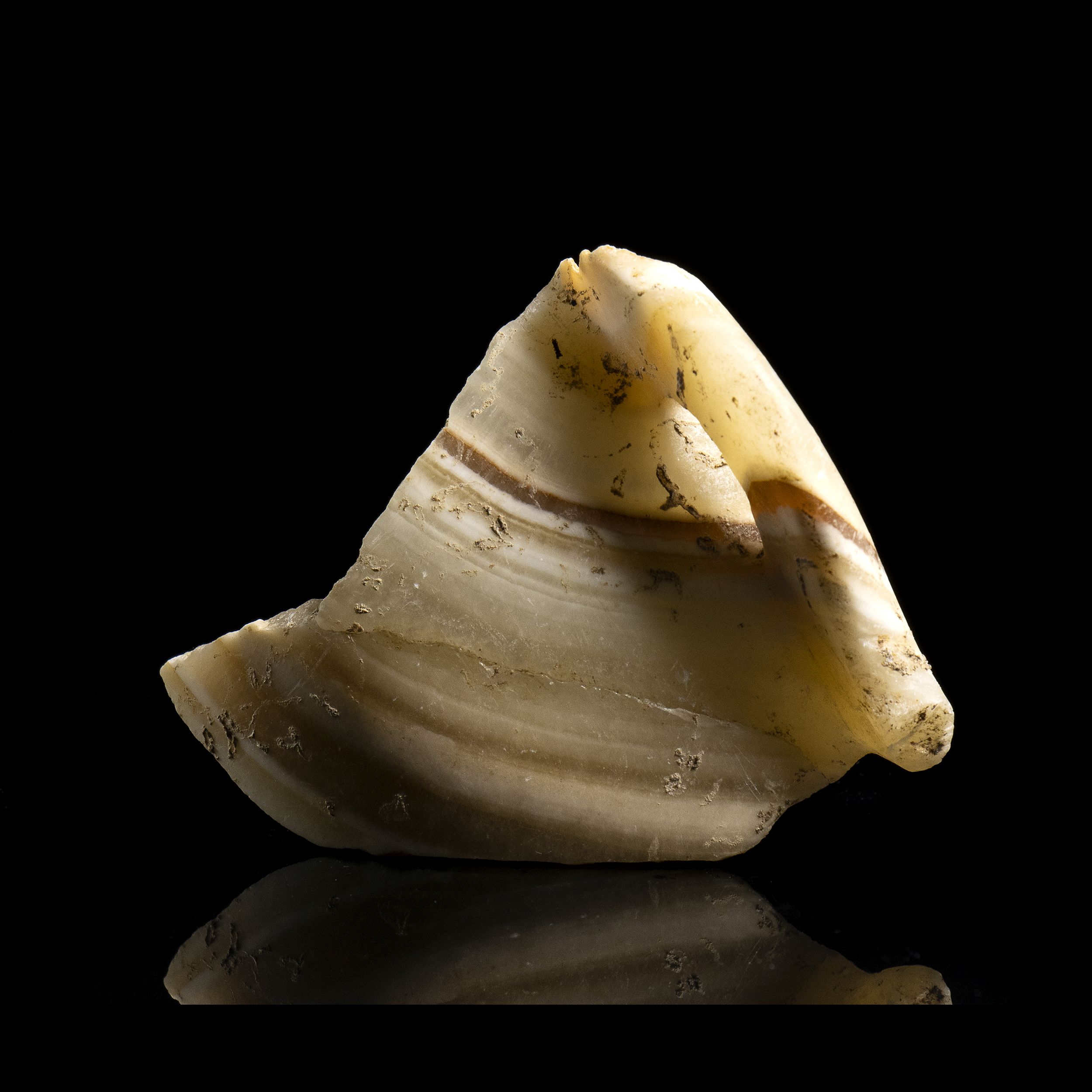 ELEMENTS DE VASES – Image 2