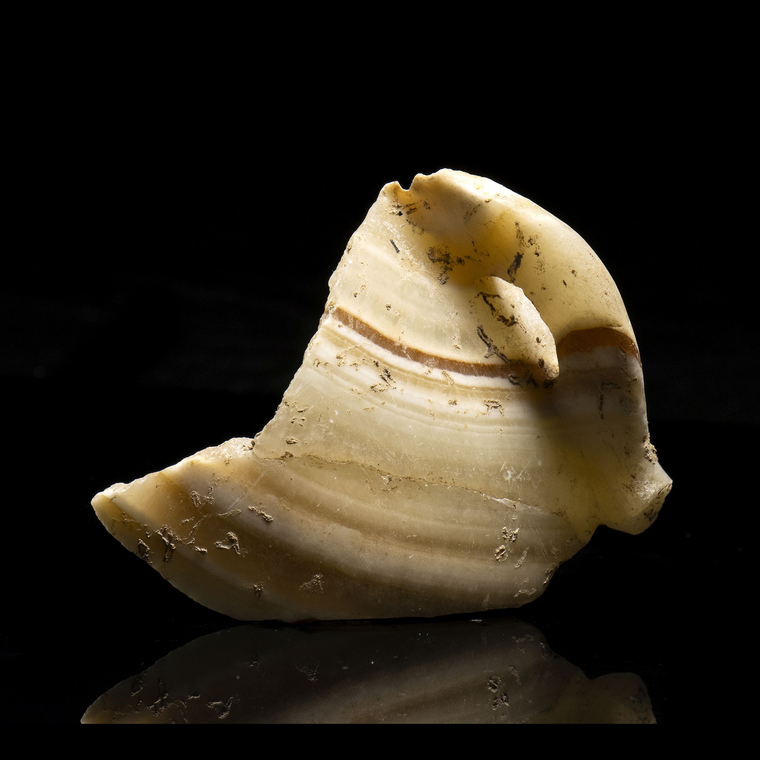 ELEMENTS DE VASES – Image 3