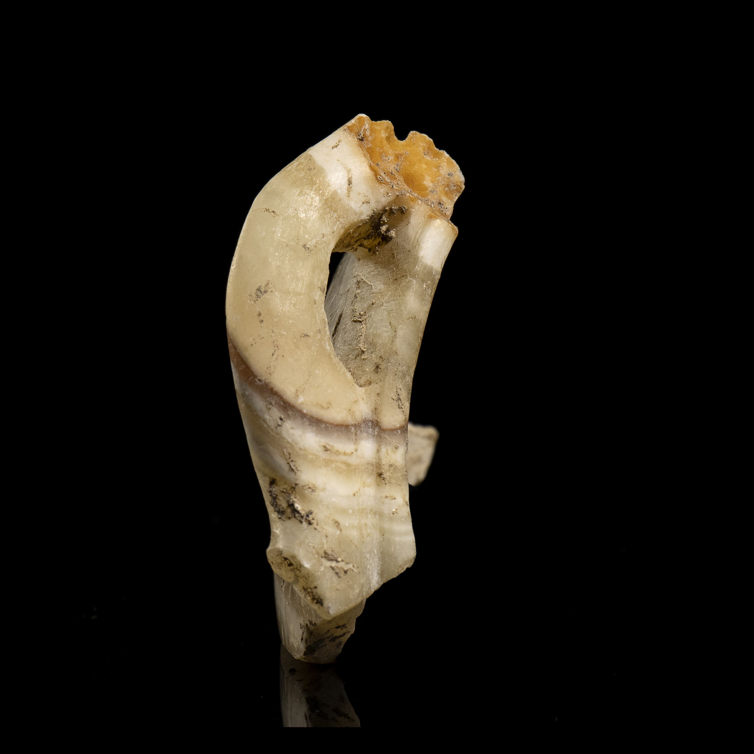 ELEMENTS DE VASES – Image 4